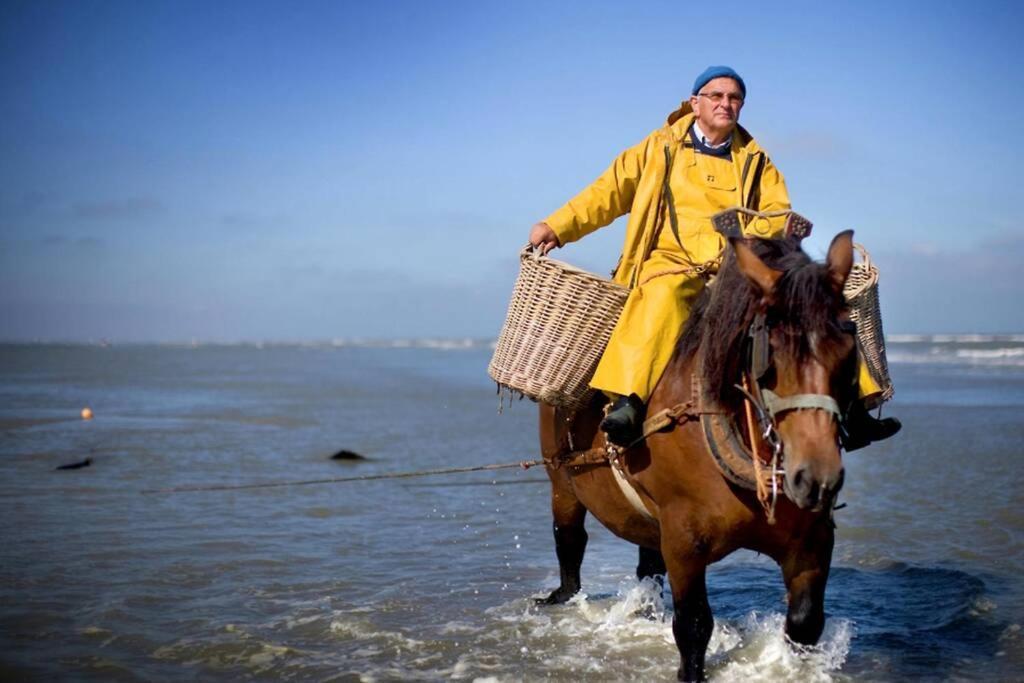 Zeezonzand Koksijde Eksteriør bilde